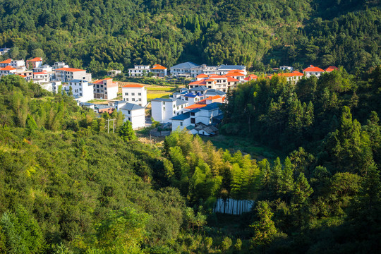 新农村风景