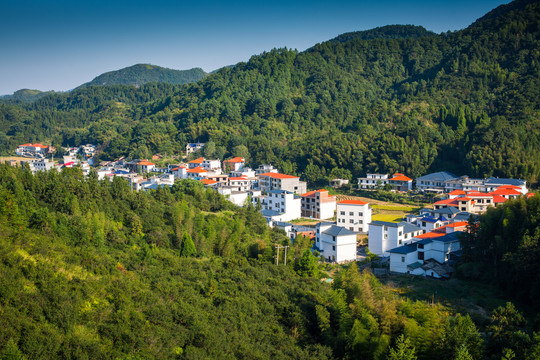 江西上栗新农村风景