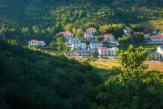 新农村风景