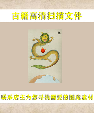 艾啟蒙龍