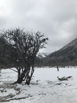 毕棚沟雪景