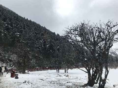 毕棚沟雪景