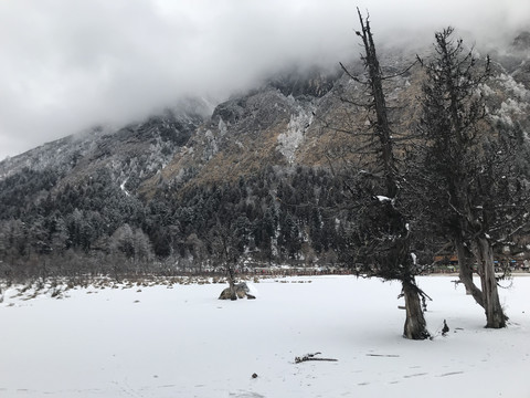 雪景