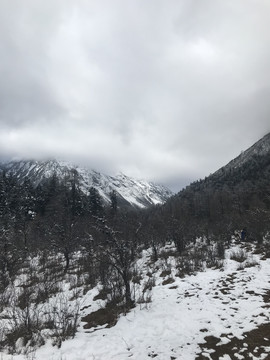 毕棚沟雪景