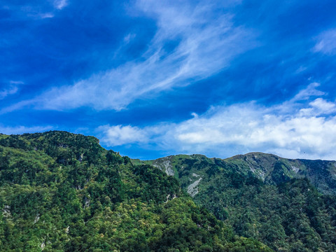 牛背梁高山风光