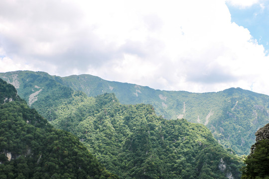 牛背梁秦巴山