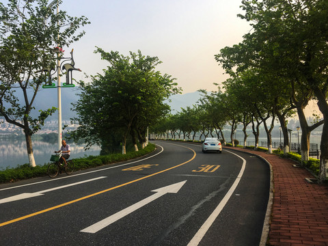 道路限速标志