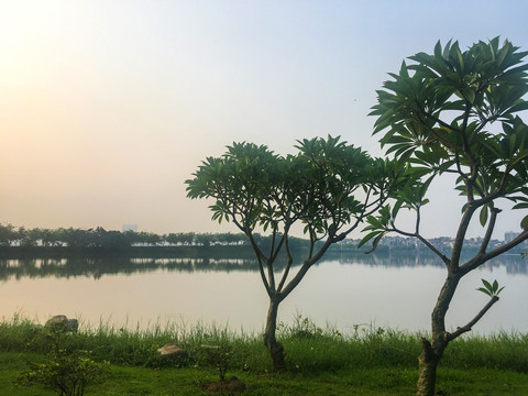 晨曦中的波海湖