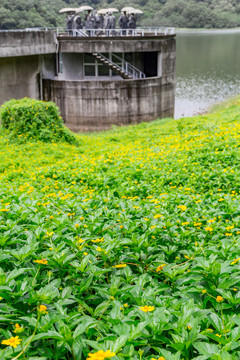 汕大水库湖畔雕塑