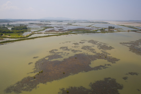 湿地公园