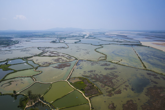 湿地公园