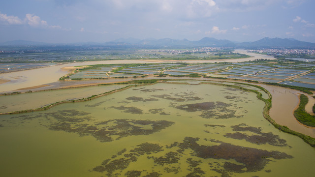 湿地公园