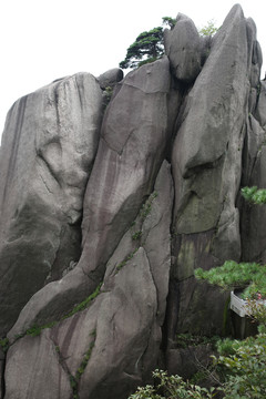 黃山