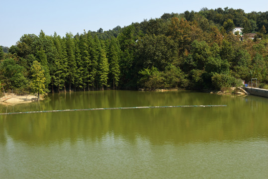 山青水秀