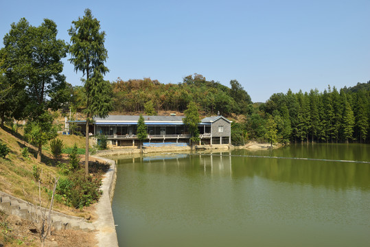 水库岸边风景