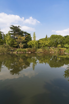 池塘秋景