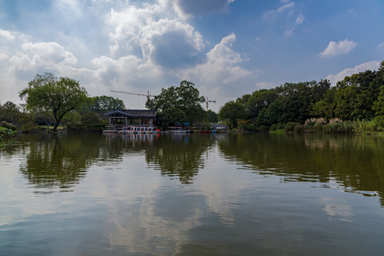 池塘秋色