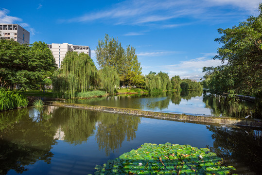 西南交通大学水景