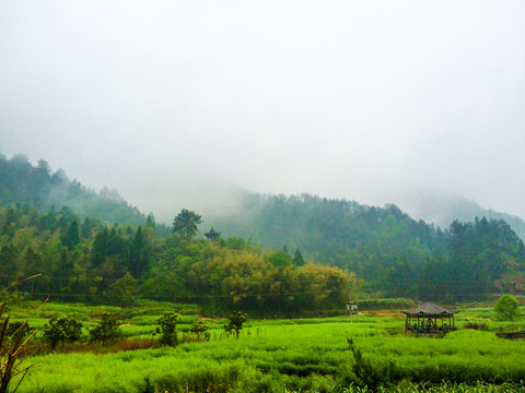 雾气中的山村