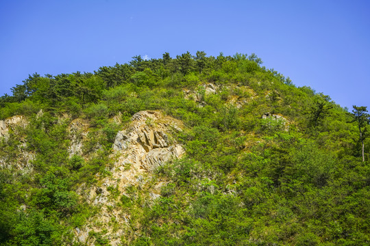 绿树青山高清大图