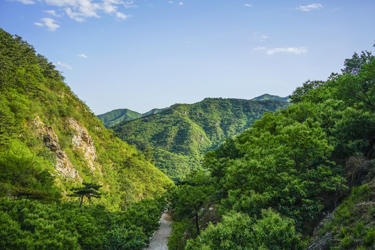 绿树青山高清大图