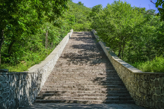 山林步道高清大图