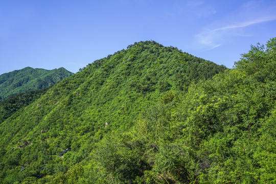 绿树青山高清大图