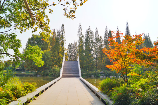 邳州桃花岛