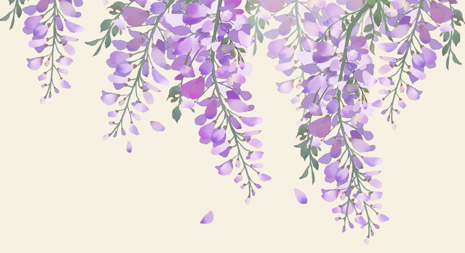 古風(fēng)畫紫藤花