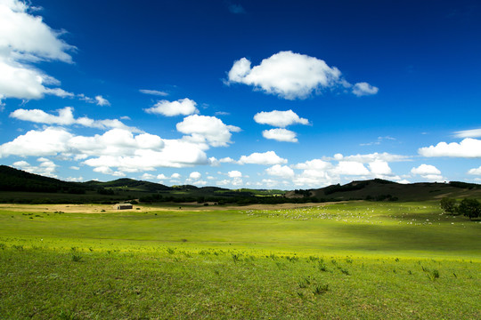 草原风光