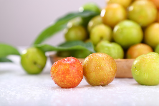 蔷薇科李属植物李子青脆李