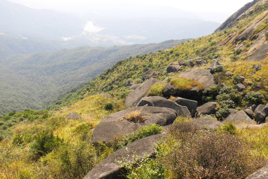 武平县梁野山古母石