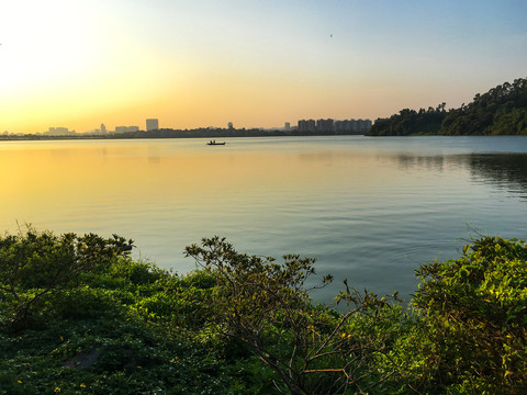 波海湖公园初升的太阳