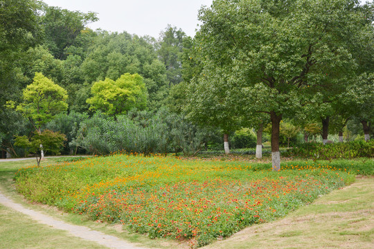 绿树花田