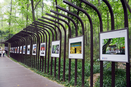 中山陵景区栈道长廊