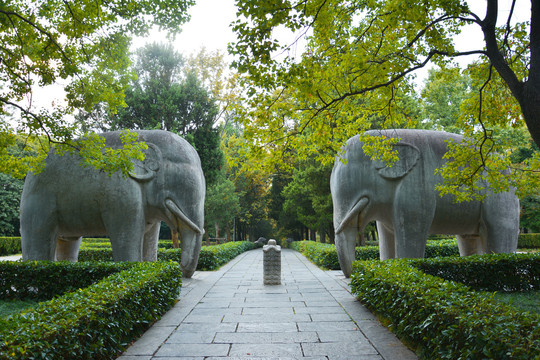 南京明孝陵石象路