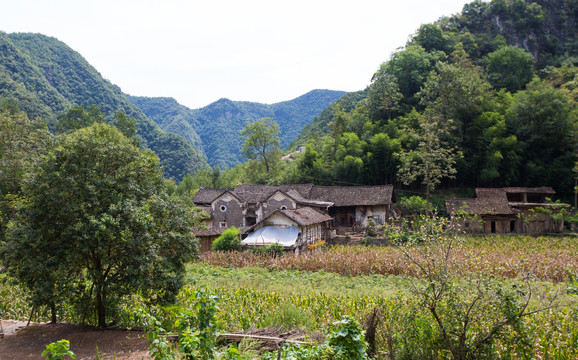 漫云村