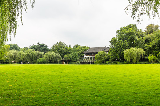 阳光草地绿树林