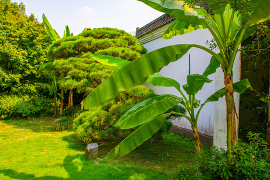 杭州花圃