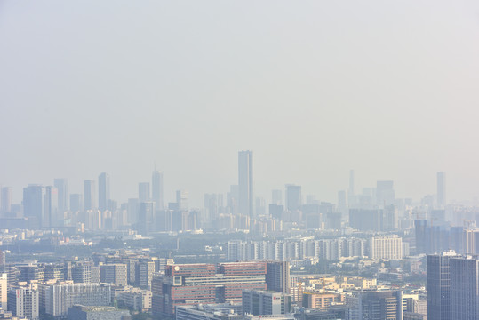 深圳湾总部基地