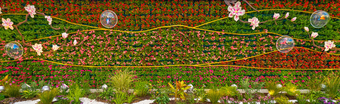 花卉植物墙