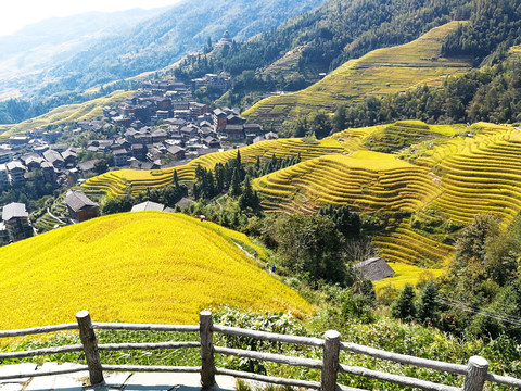 龙胜梯田