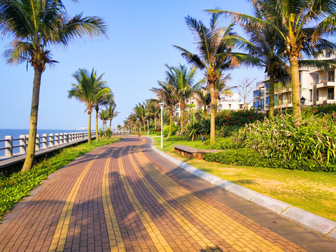 海南岛海口市海甸岛风光