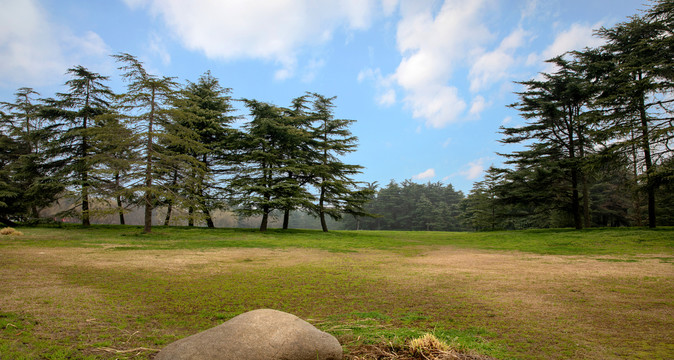 草坪场地场院