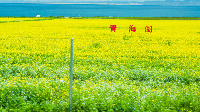 青海湖