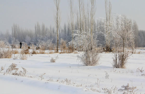 冬天的雪景