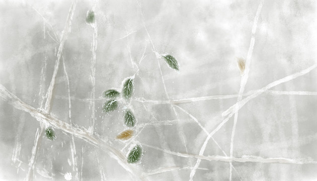 雪地里的叶子