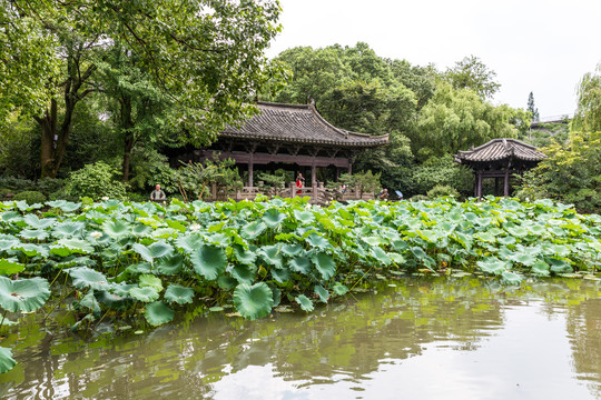 绍兴沈园