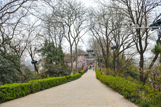 黄鹤楼风景