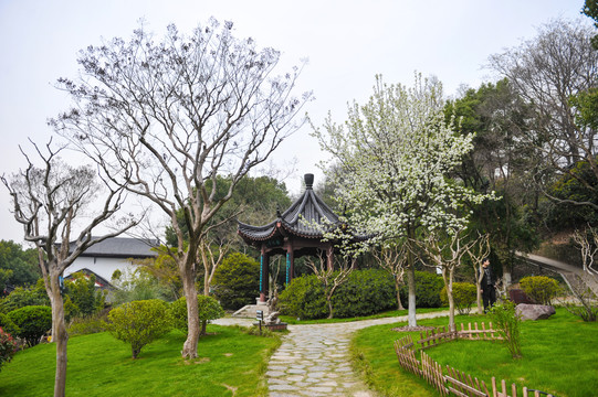 黄鹤楼风景